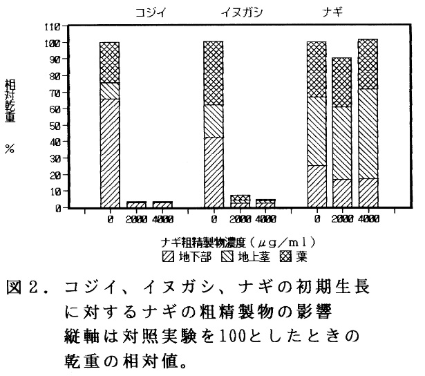 初期成長試験のグラフ